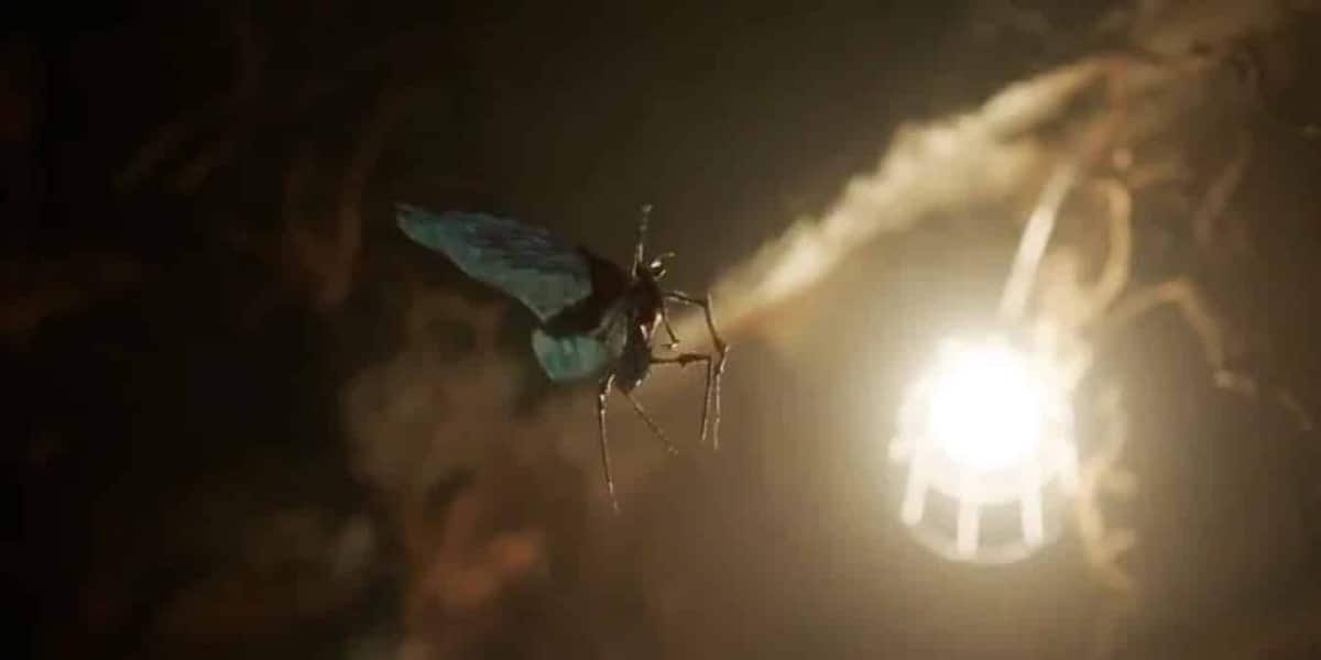 O que são as Borboletas na série Pacificador, da HBO?