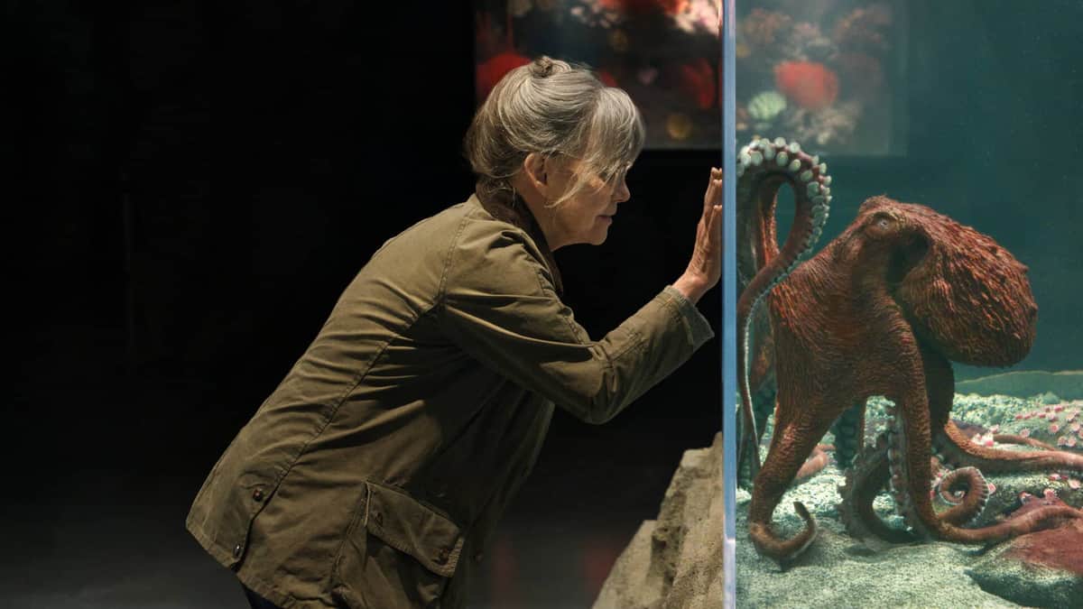 Remarkably Bright Creatures