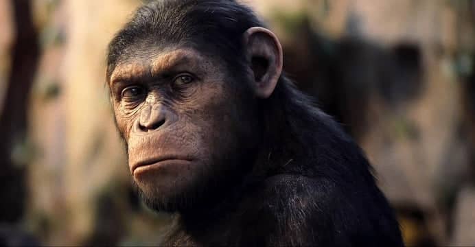 Após os Planeta dos Macacos: A Origem e Planeta dos Macacos: O Confronto, estamos aguardando ansiosamente Planeta dos Macacos: A Guerra. Confira o trailer.