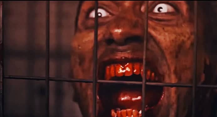 Wyrmwood: Chronicles of the Dead  | Com presença de zumbis e muito sangue, série promete surpreender com história terror