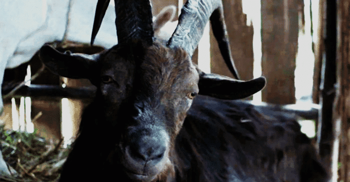 Ao Cair da Noite | Black Phillip, de A Bruxa, está de volta em thriller assustador