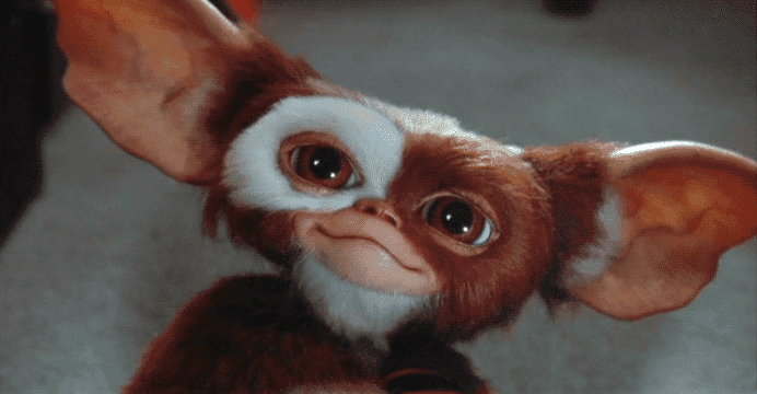 Gremlins 3 | Sequência é confirmada e promete ser sombria. Saiba mais