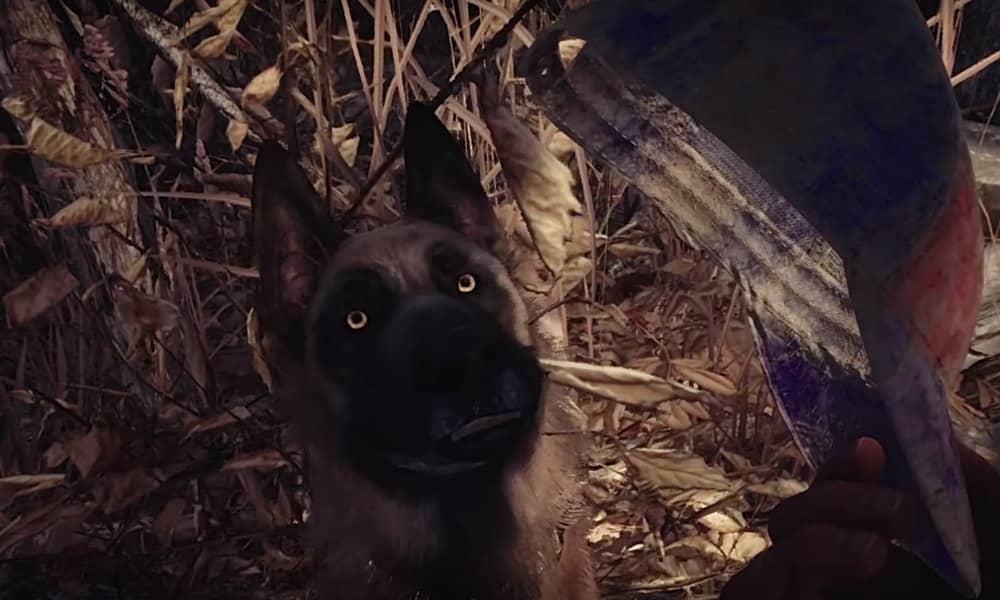 Confira 10 minutos do gameplay de 'Blair Witch', o jogo da Bruxa de Blair