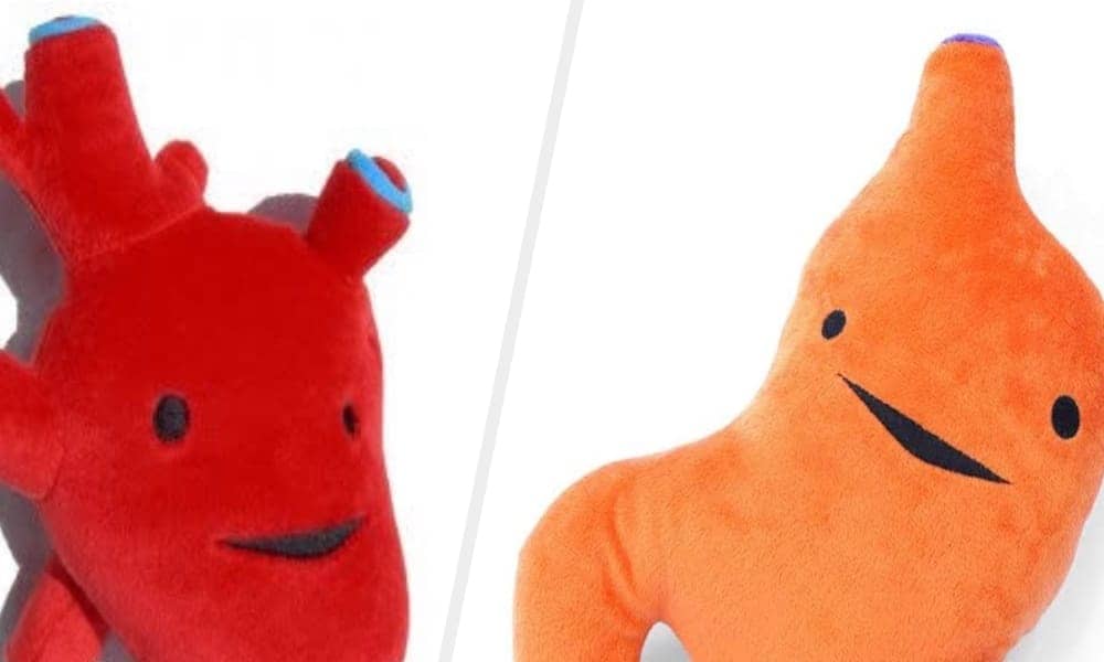 "Vô suitá ke vê" | Memes de órgãos "fofos" falantes viralizam na internet