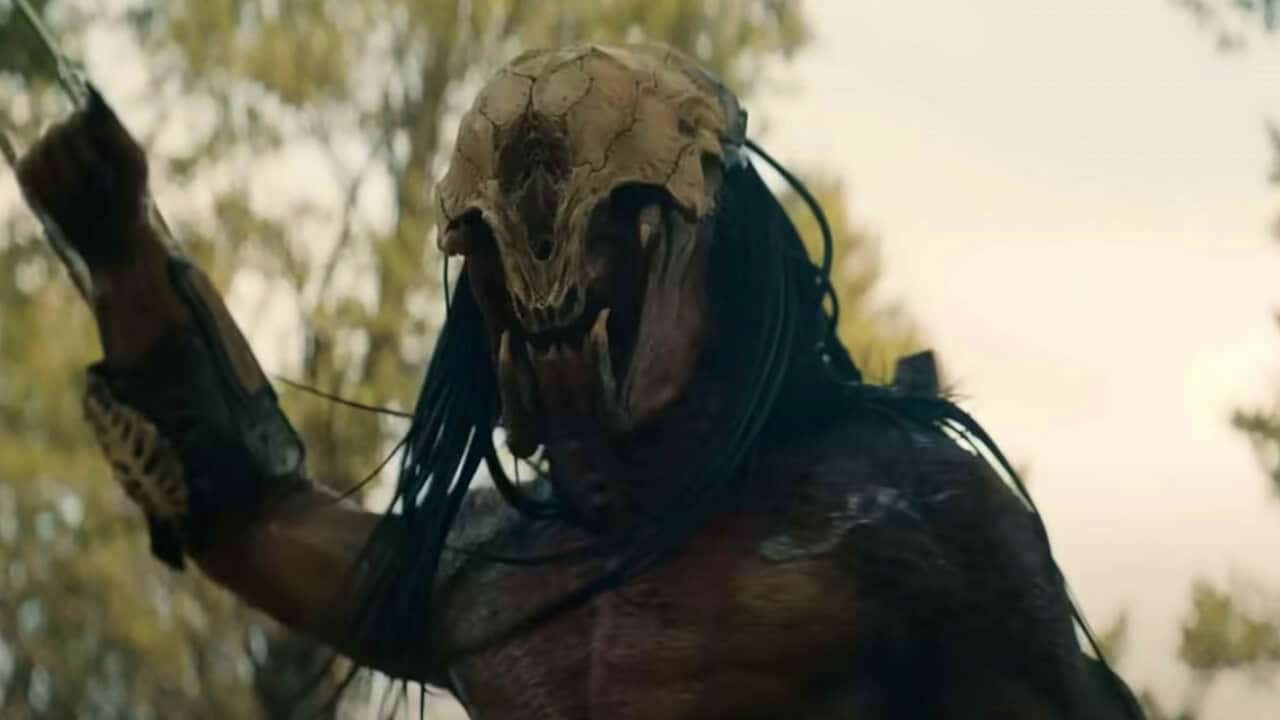 O Predador A Caçada