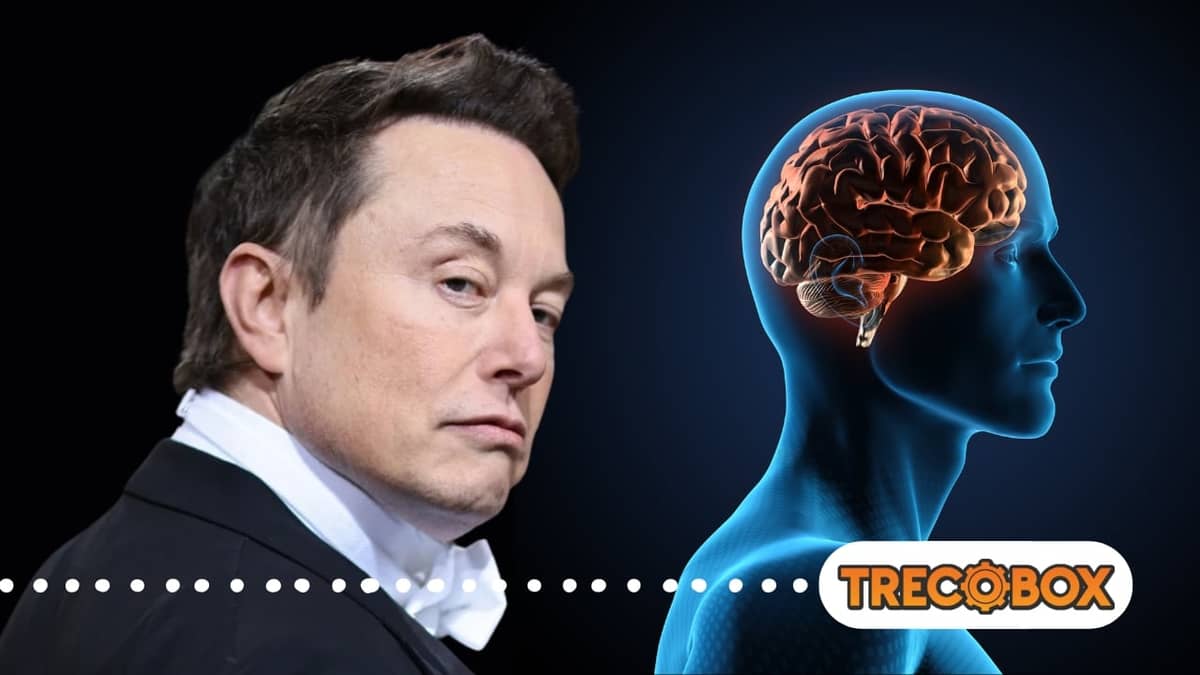 Elon Musk quer implantar chips cerebrais em humanos no próximo ano