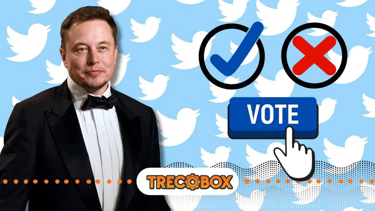 Elon Musk pergunta ao Twitter se ele deveria deixar o posto chefe da rede social – saiba qual foi o resultado