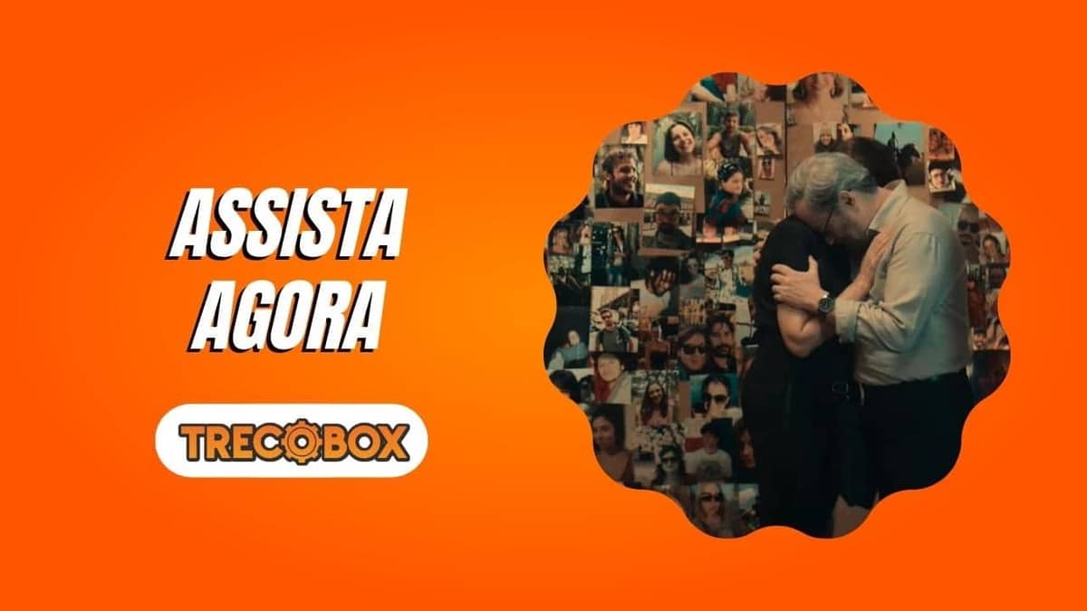 Todo Dia a Mesma Noite