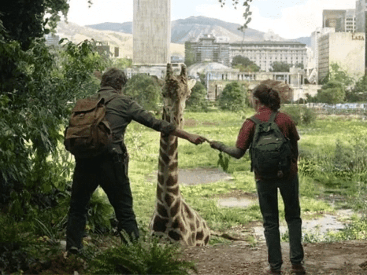 girafas The Last of Us