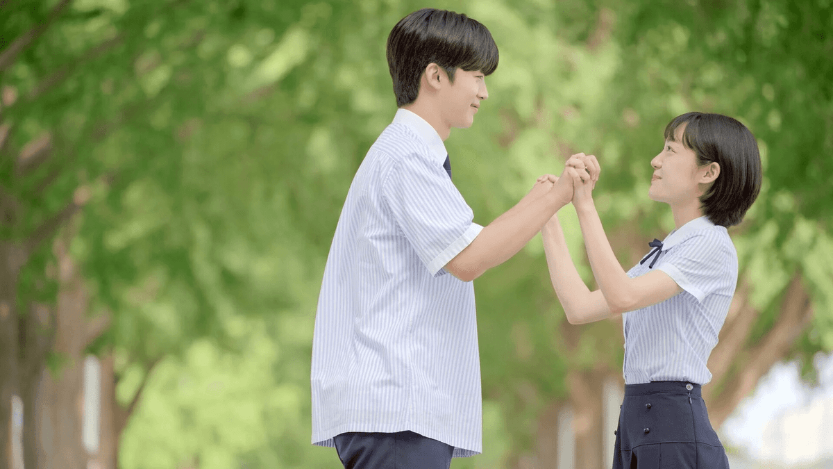 A Love So Beautiful (2020)