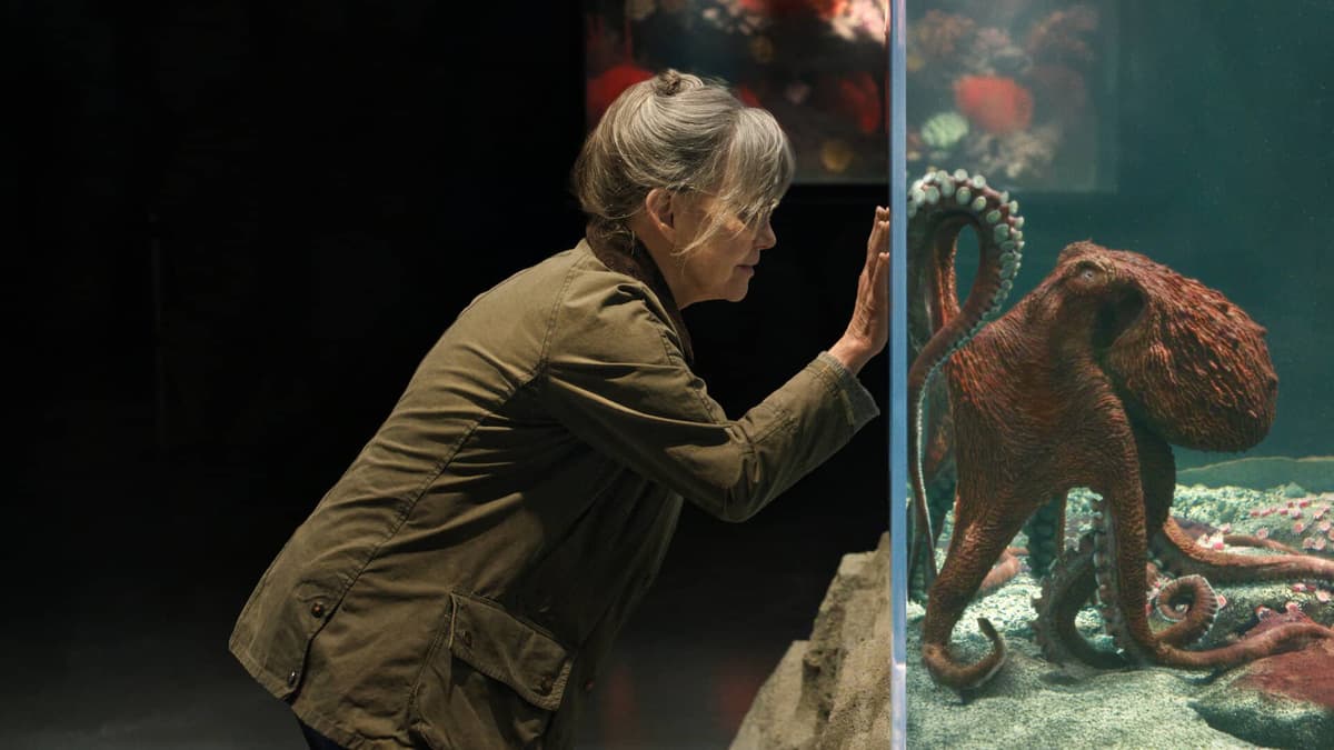 Remarkably Bright Creatures