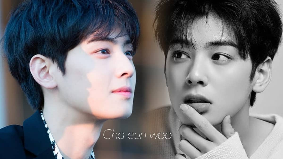 cha eun woo doramas
