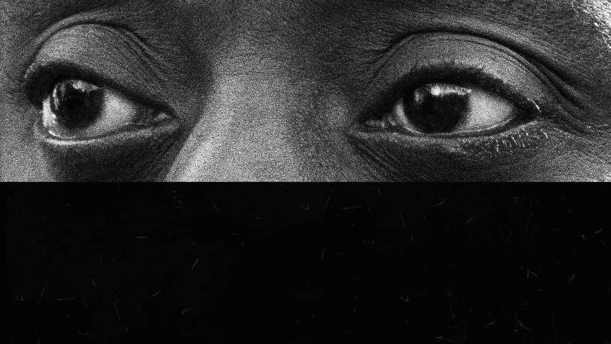 Eu Não Sou Seu Negro