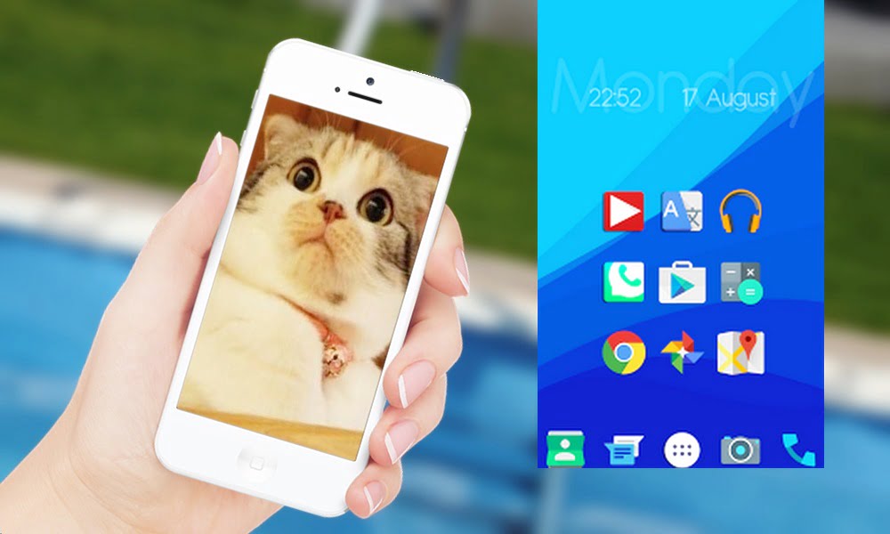 5 aplicativos para gatos definitivos para Android