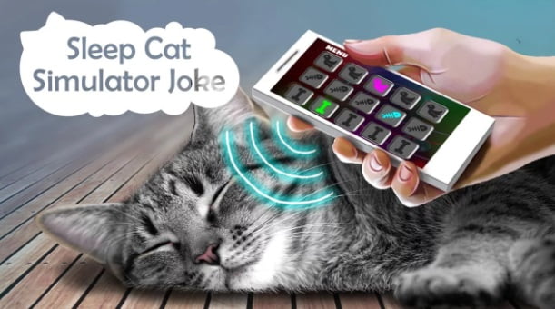 5 aplicativos para gatos definitivos para Android