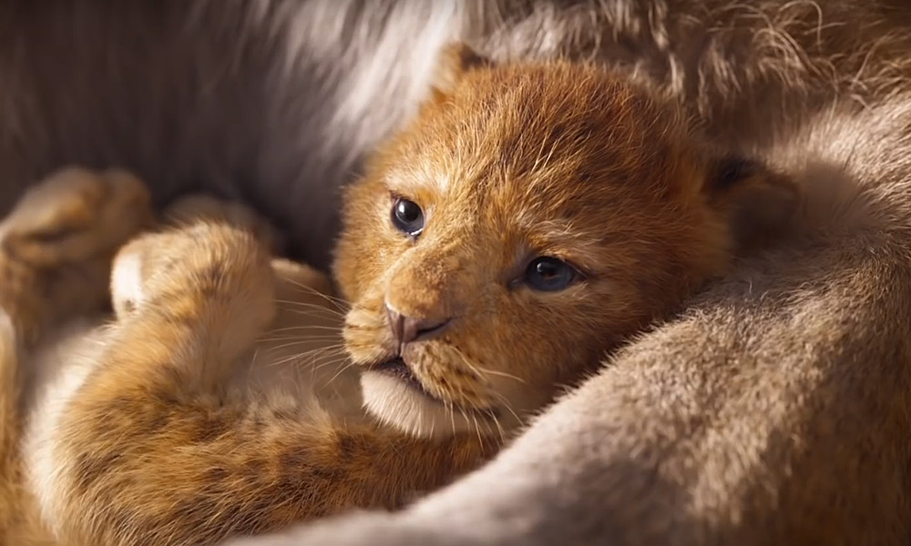 O Rei Leão | Disney libera o primeiro teaser trailer do live-action. Confira!
