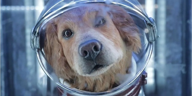 quem é Cosmo, a cachorrinha de Guardiões da Galáxia 3 que irá conquistar o coração dos fãs